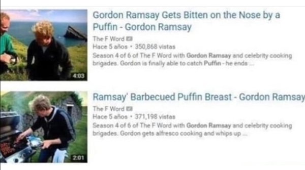 gordon ramsay puffin meme - Gordon Ramsay Gets Bitten on the Nose by a Puffin Gordon Ramsay The F Word Hace 5 aos. 350,868 vistas Season 4 of 6 of The F Word with Gordon Ramsay and celebrity cooking brigades Gordon is finally able to catch Puffin.he ends 