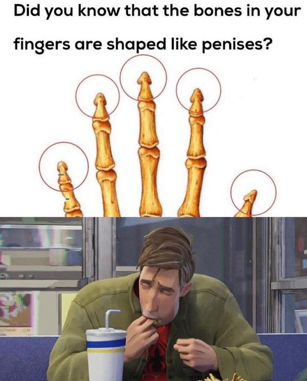 peter parker sucking fingers meme - Did you know that the bones in your fingers are shaped penises?