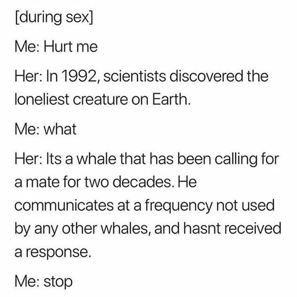 accommodation letter for winz - during sex Me Hurt me Her In 1992, scientists discovered the loneliest creature on Earth. Me what Her Its a whale that has been calling for a mate for two decades. He communicates at a frequency not used by any other whales