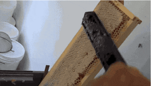 satisfying honeycomb gif