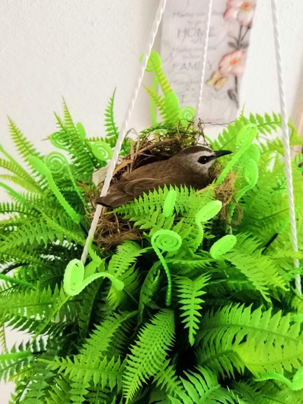 Bird made a nest in a fake plant.