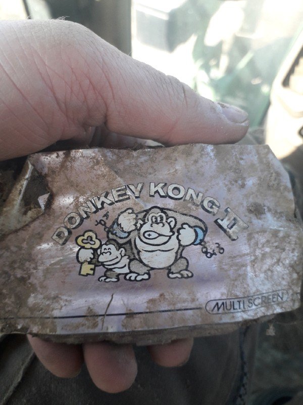 A copy of Donkey Kong 2 found in the middle of a field.