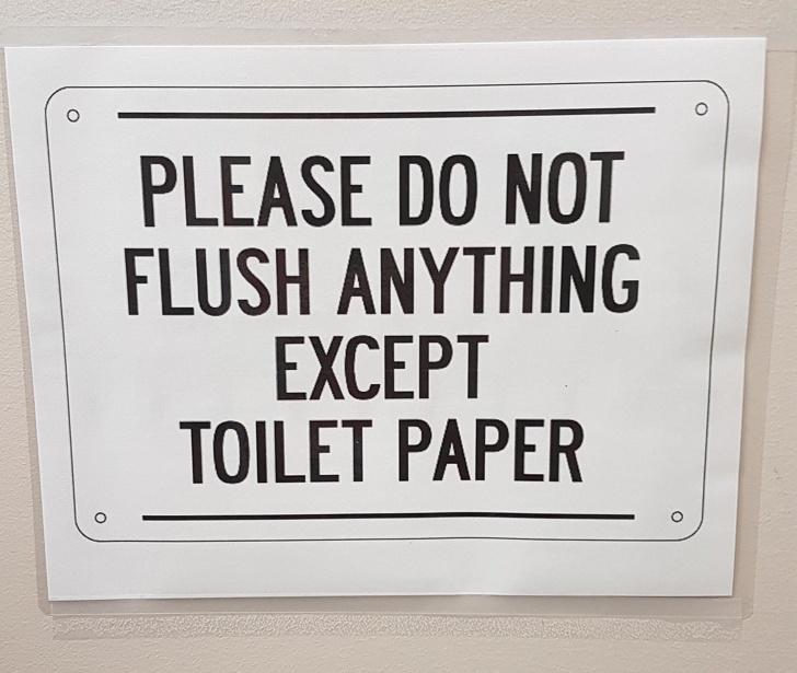 sign - Please Do Not Flush Anything Except Toilet Paper