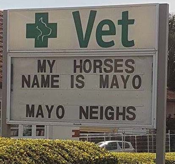 street sign - Vet My Horses Name Is Mayo Mayo Neighs