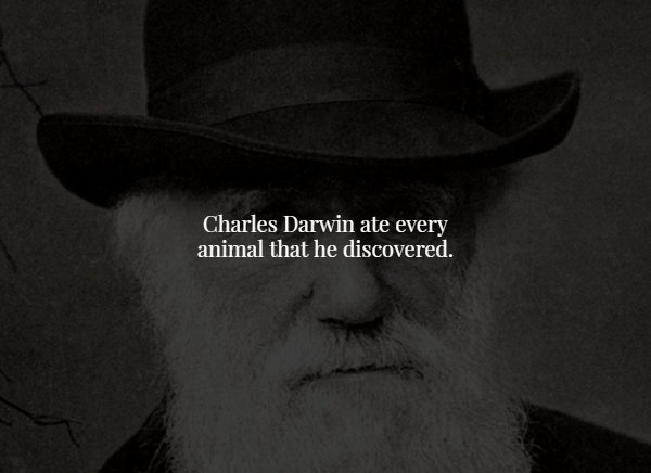 monochrome photography - Charles Darwin ate every animal that he discovered.