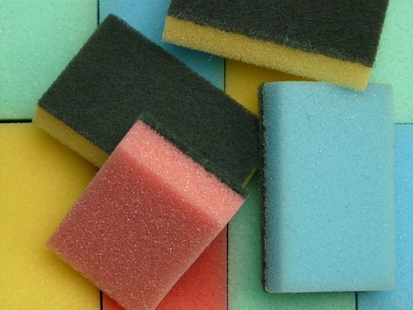 Kitchen sponges have over 10,000,000 fecal bacteria.