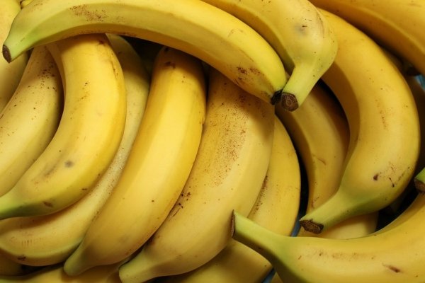 Bananas are actually radioactive due to their levels of potassium, but it would take an insane amount of bananas to have any effect on you.