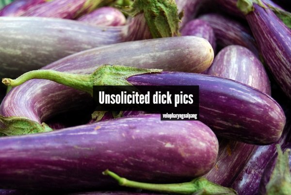 eggplant scientific name - Unsolicited dick pics velopharyngealpang