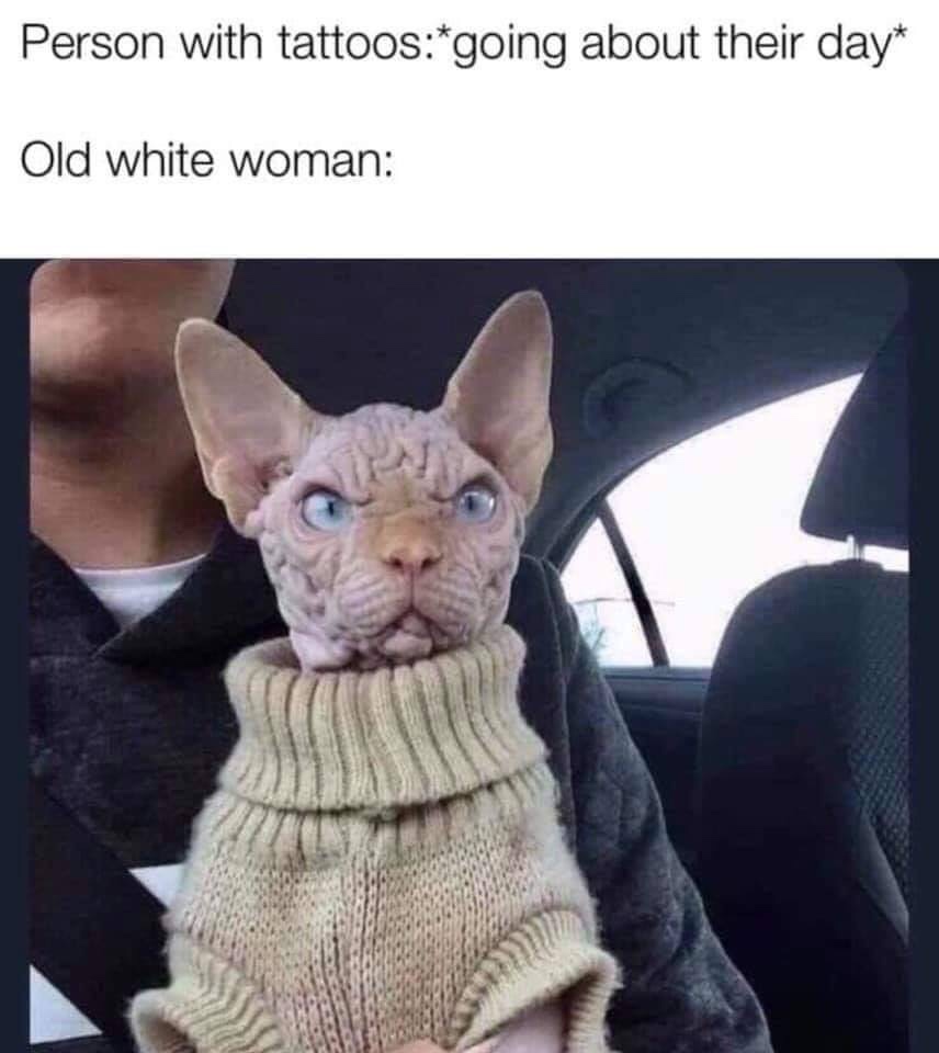 old white women cat meme - Person with tattoosgoing about their day Old white woman