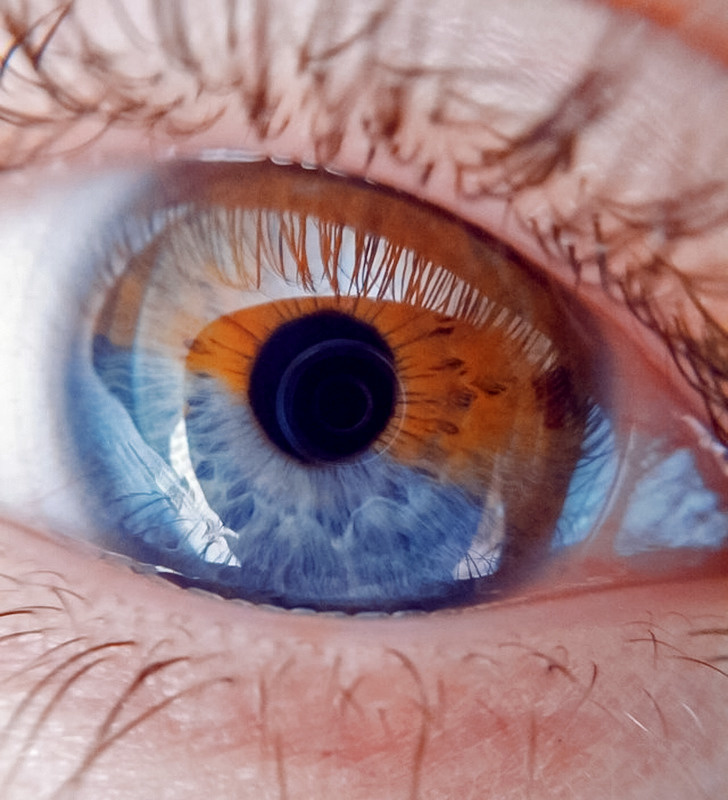 A blue and brown eye.