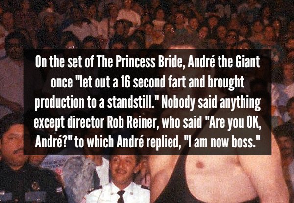 one the daily mail warned - On the set of The Princess Bride, Andr the Giant once "let out a 16 second fart and brought production to a standstill."Nobody said anything except director Rob Reiner, who said "Are you Ok, Andr?" to which Andr replied, "I am 