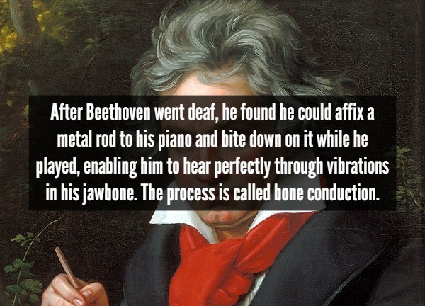 ludwig van beethoven - After Beethoven went deaf, he found he could affix a metal rod to his piano and bite down on it while he played, enabling him to hear perfectly through vibrations in his jawbone. The process is called bone conduction.