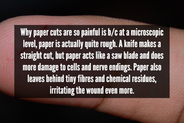 the pentagon, 9/11 memorial - Why paper cuts are so painful is bc at a microscopic level, paper is actually quite rough. A knife makes a straight cut, but paper acts a saw blade and does more damage to cells and nerve endings. Paper also leaves behind tin