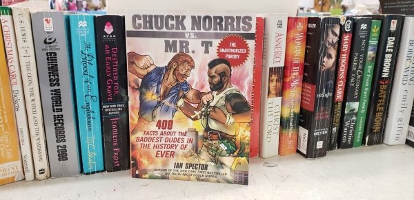 thrift store self help book - Borr Web emily giffin Dale Brown Battle Born Her Prash Star Family Not Your Ordinary Faerie Tale Christine Mary Higgins Clarks Ht M . Womanar Til Mists Wimmestralian Sint Anneric Christ Pasody Chuck Norris Mr. Tatorted Jud Ia