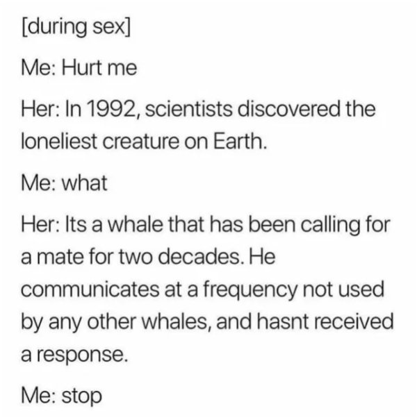 document - during sex Me Hurt me Her In 1992, scientists discovered the loneliest creature on Earth. Me what Her Its a whale that has been calling for a mate for two decades. He communicates at a frequency not used by any other whales, and hasnt received 