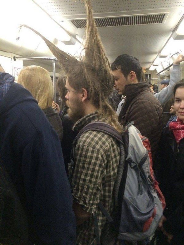 30 Strange things spotted on the subway.