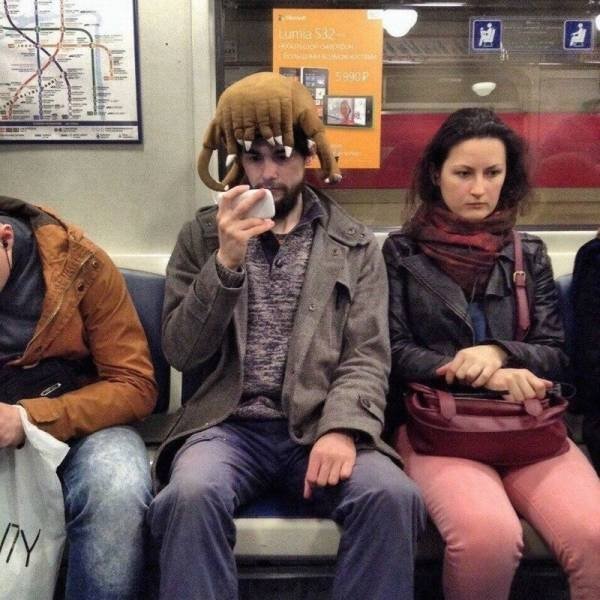 30 Strange things spotted on the subway.