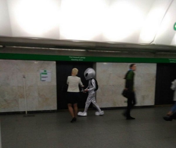 30 Strange things spotted on the subway.