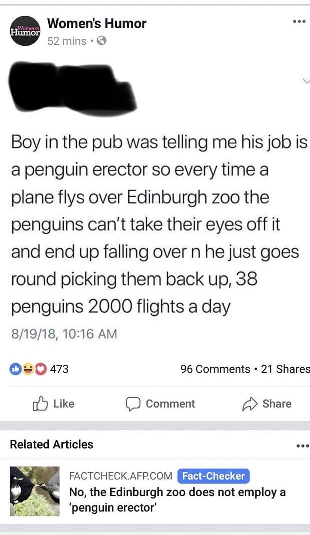 angle - Women's Humor Women's Humor 52 mins. Boy in the pub was telling me his job is a penguin erector so every time a plane flys over Edinburgh zoo the penguins can't take their eyes off it and end up falling over n he just goes round picking them back 