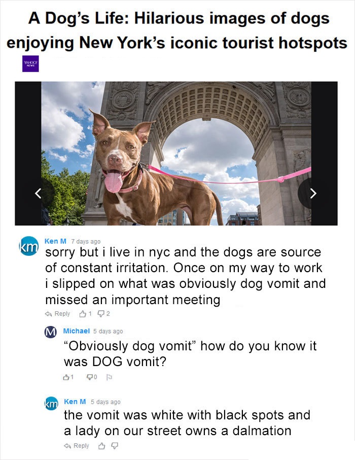 ken m reddit - A Dog's Life Hilarious images of dogs enjoying New York's iconic tourist hotspots Yndo ba Occed Ken M 7 days ago km sorry but i live in nyc and the dogs are source of constant irritation. Once on my way to work i slipped on what was obvious