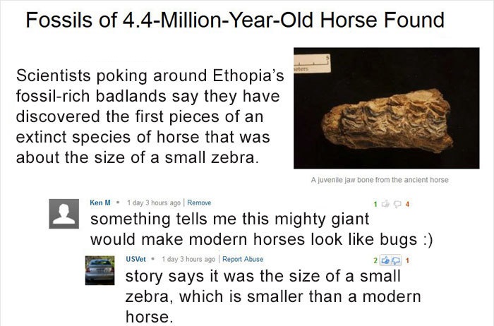 Fossils of 4.4MillionYearOld Horse Found Scientists poking around Ethopia's fossilrich badlands say they have discovered the first pieces of an extinct species of horse that was about the size of a small zebra. A juvenile jaw bone from the ancient horse…