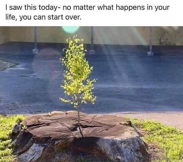 I saw this today no matter what happens in your life, you can start over.