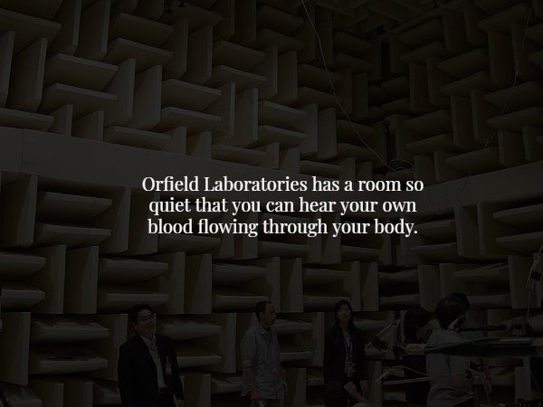 texture - Orfield Laboratories has a room so quiet that you can hear your own blood flowing through your body.