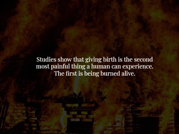 nature - Studies show that giving birth is the second most painful thing a human can experience. The first is being burned alive.