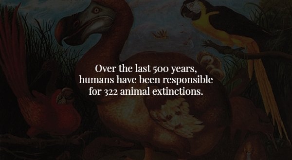extinction - Over the last 500 years, humans have been responsible for 322 animal extinctions.