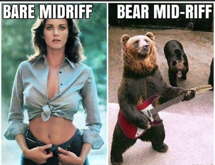 bare midriff bare midriff - Bare Midriff Bear MidRiff
