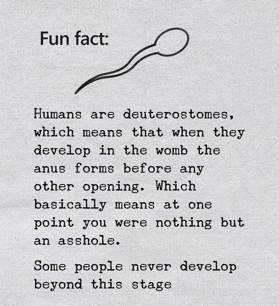 humans are deuterostomes which means - Fun fact Humans are deuterostomes, which means that when they develop in the womb the anus forms before any other opening. Which basically means at one point you were nothing but an asshole. Some people never develop