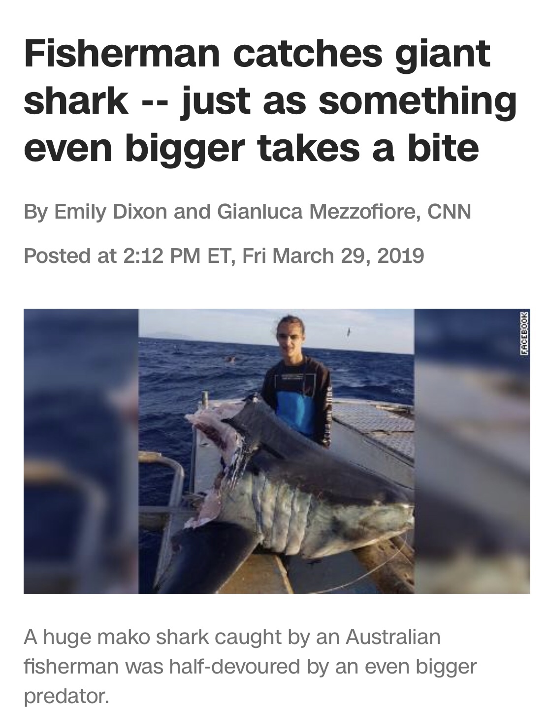 mako shark memes - Fisherman catches giant shark just as something even bigger takes a bite By Emily Dixon and Gianluca Mezzofiore, Cnn Posted at Et, Fri Facebook A huge mako shark caught by an Australian fisherman was halfdevoured by an even bigger preda
