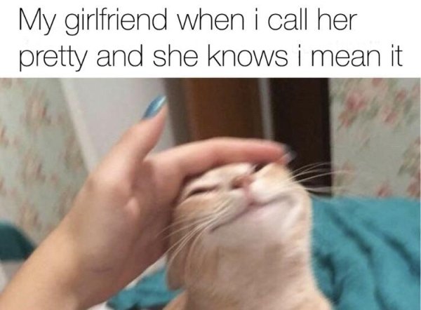 wholesome memes - My girlfriend when i call her pretty and she knows i mean it