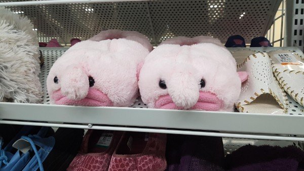 Blobfish slippers.