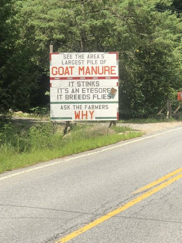 cool idea lane - See The Area'S Largest Pile Of Goat Manure It Stinks It'S An Eyesore It Breeds Flies Ask The Farmers