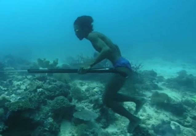 The Bajau people can stay underwater longer than most people thanks to a rare genetic mutation.