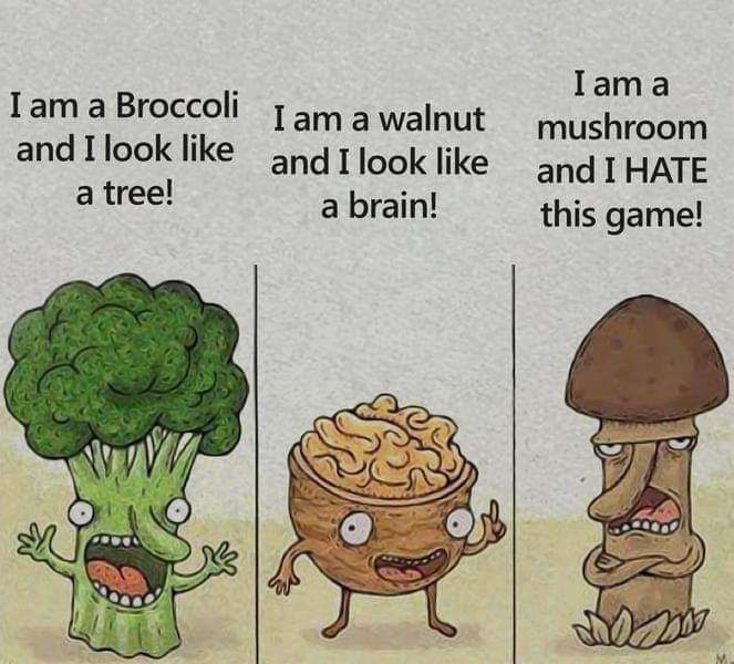 am mushroom and i hate this game - I am a I am a Broccoli I am a walnut mushroom and I look and I look and I Hate a tree! a brain! this game! Ud