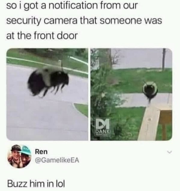 so i got a notification from our security camera - so i got a notification from our security camera that someone was at the front door Dank Ren Ea Buzz him in lol