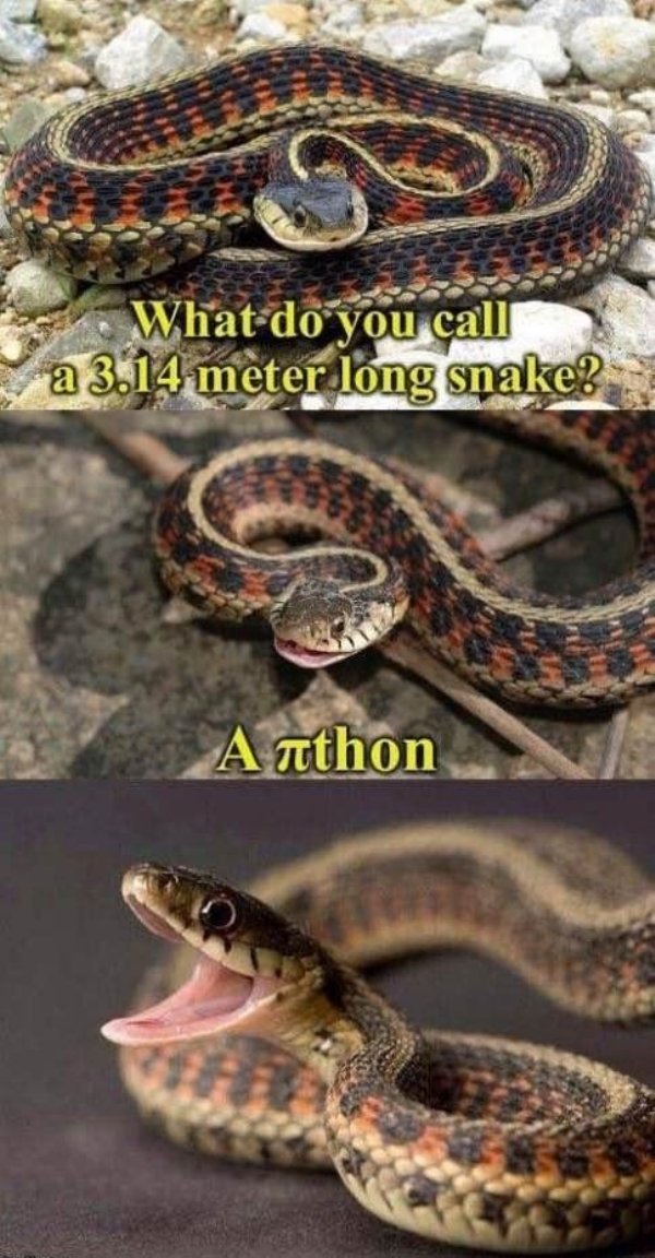 do you call a 3.14 meter long snake - What do you call a 3.14 meter long snake? Anthon