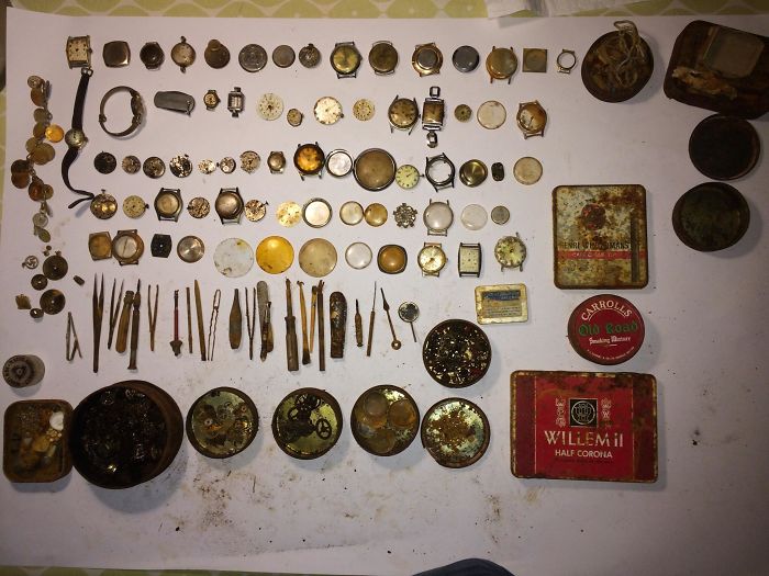 beach find collection