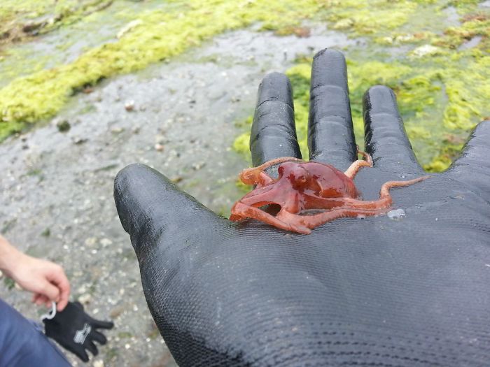 beach find water