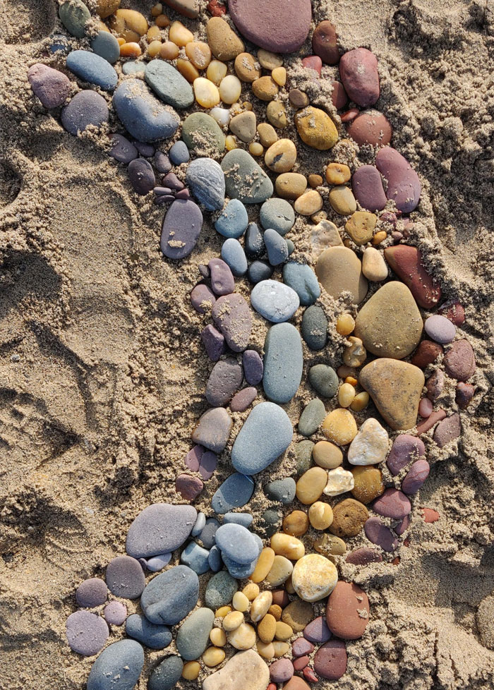 beach find pebble