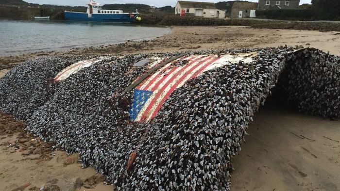 beach find spacex debris -