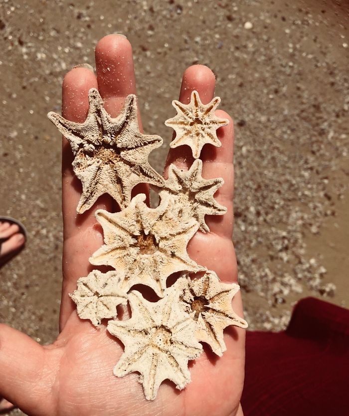 beach find jewellery