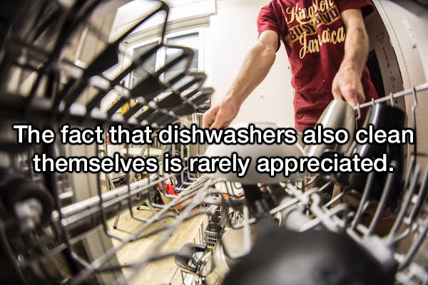 20 shower thoughts to tickle your brain.