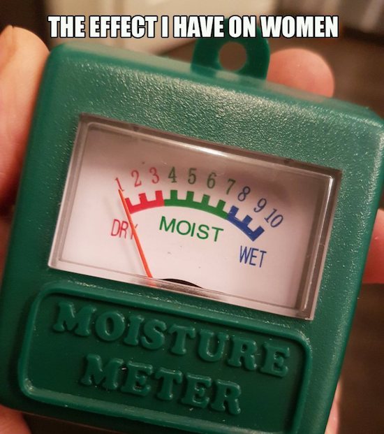 moist dry meme - The Effect I Have On Women 3 4 5 6 7 8 7 8 9 10 Dry Moist Oist Wet Moisture Meter