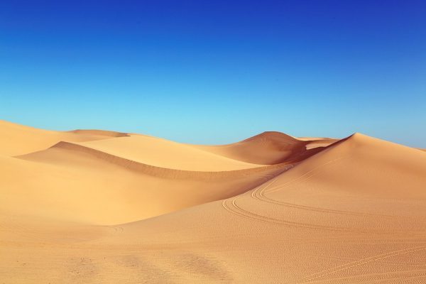 fun fact sand dunes