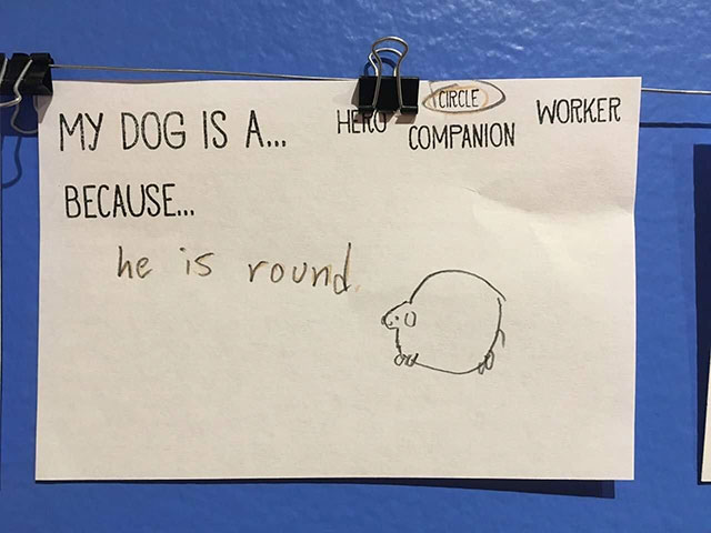 my dog is a circle because he - Circle Worker My Dog Is A... Heo Companion" Because... he is round
