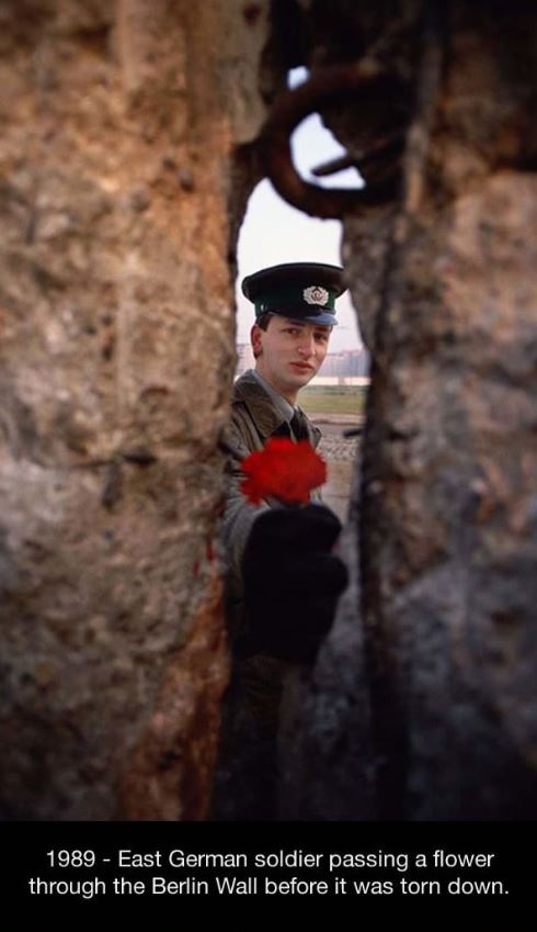 berlin wall soldier flower - 1989 East German soldier passing a flower through the Berlin Wall before it was torn down.