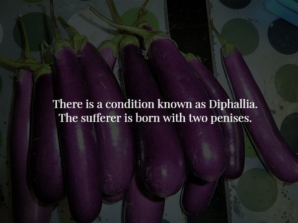 produce - There is a condition known as Diphallia. The sufferer is born with two penises.